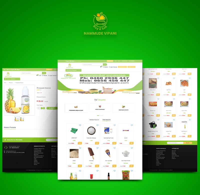 website customization services